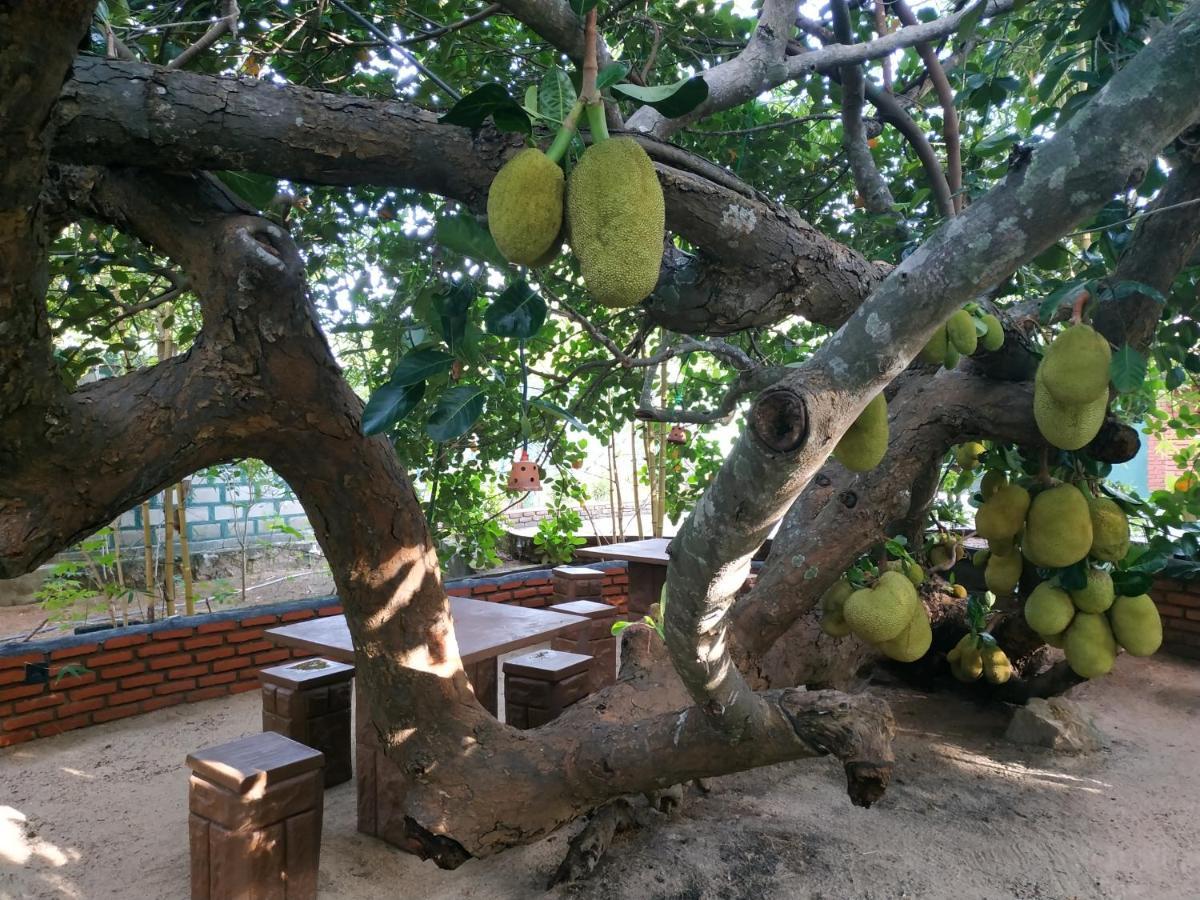Sigiriya Cashew Palace Resort Daganapothaha المظهر الخارجي الصورة