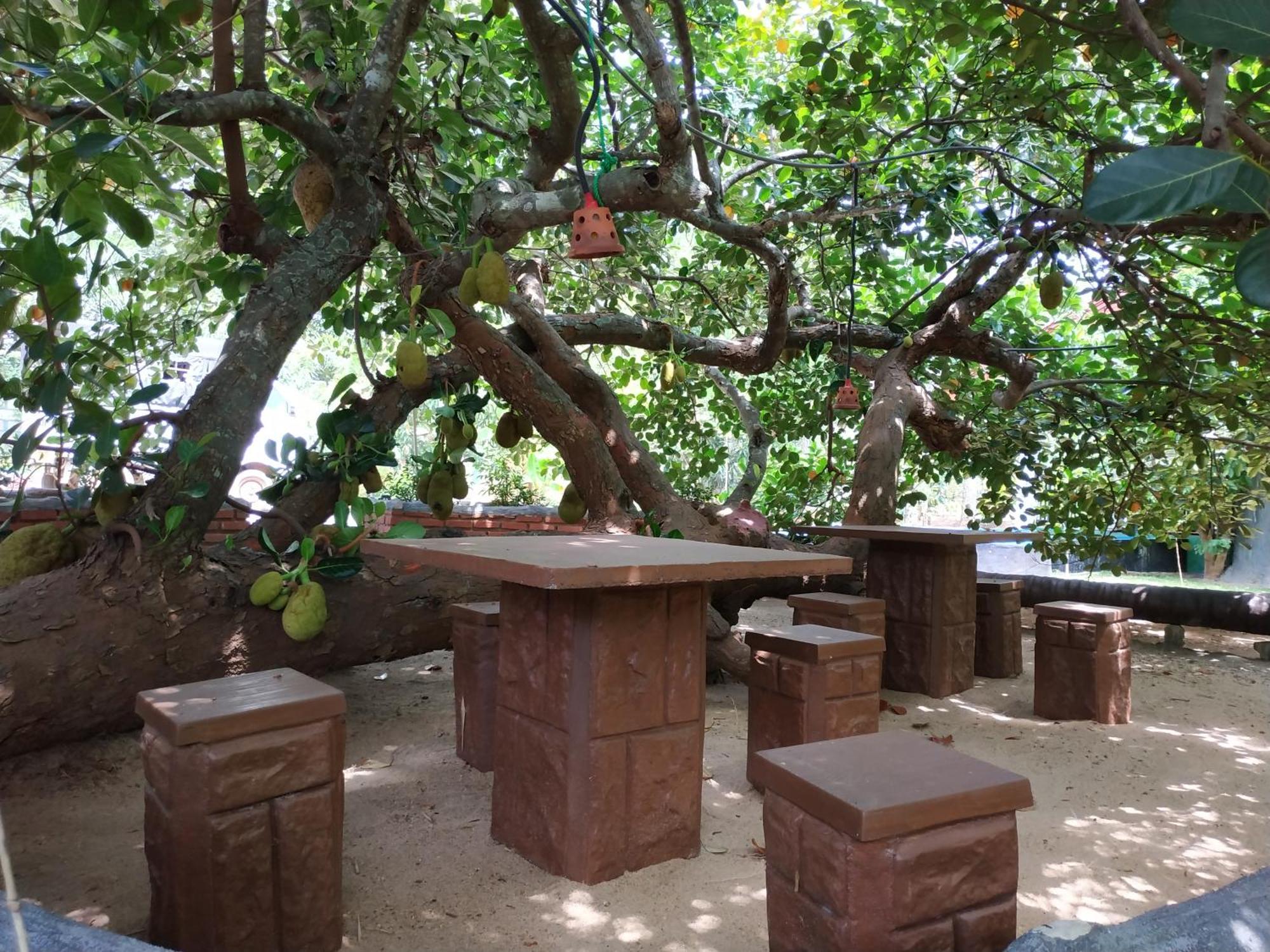 Sigiriya Cashew Palace Resort Daganapothaha المظهر الخارجي الصورة