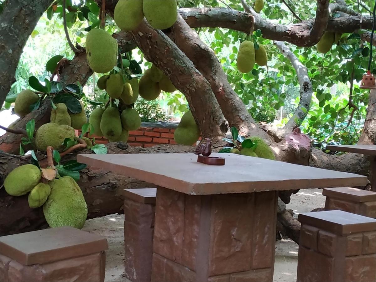 Sigiriya Cashew Palace Resort Daganapothaha المظهر الخارجي الصورة