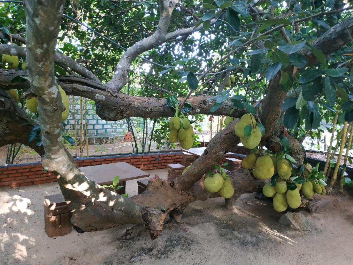 Sigiriya Cashew Palace Resort Daganapothaha المظهر الخارجي الصورة