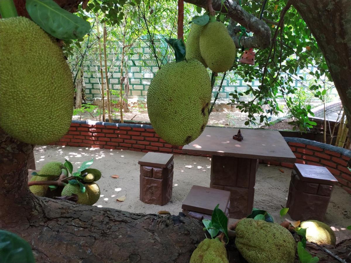 Sigiriya Cashew Palace Resort Daganapothaha المظهر الخارجي الصورة