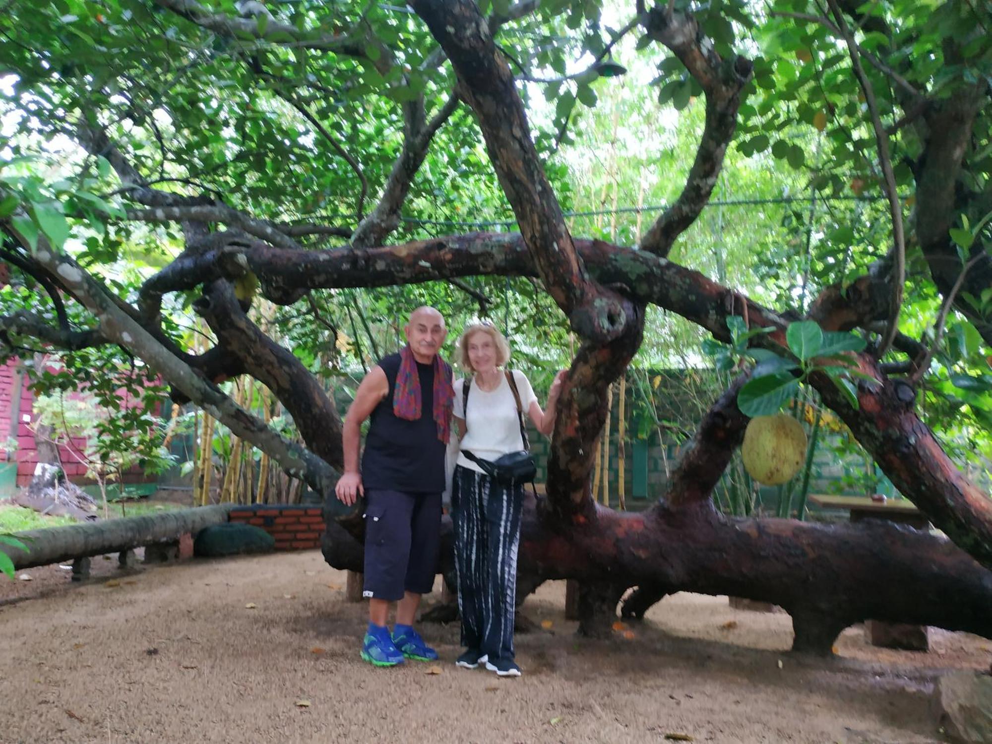 Sigiriya Cashew Palace Resort Daganapothaha المظهر الخارجي الصورة