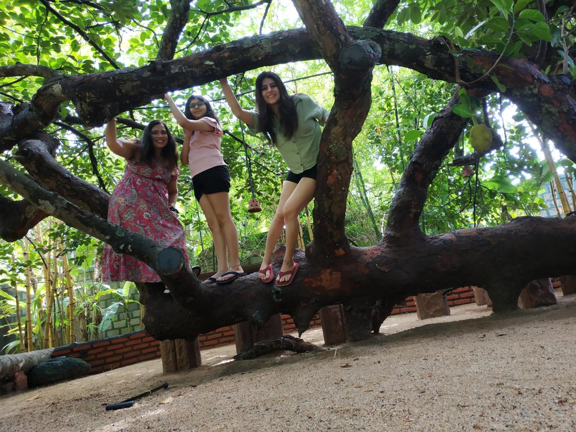 Sigiriya Cashew Palace Resort Daganapothaha المظهر الخارجي الصورة