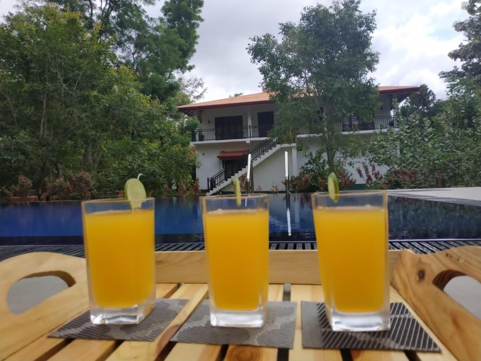 Sigiriya Cashew Palace Resort Daganapothaha المظهر الخارجي الصورة
